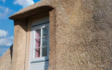 Ardery thatch roof disadvantages