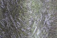 Ardery fibreglass roof work