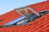 Ardery roof window